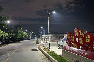 开云(中国)集团罗宁弟爱心捐赠路灯，点亮乡村路温暖乡民心